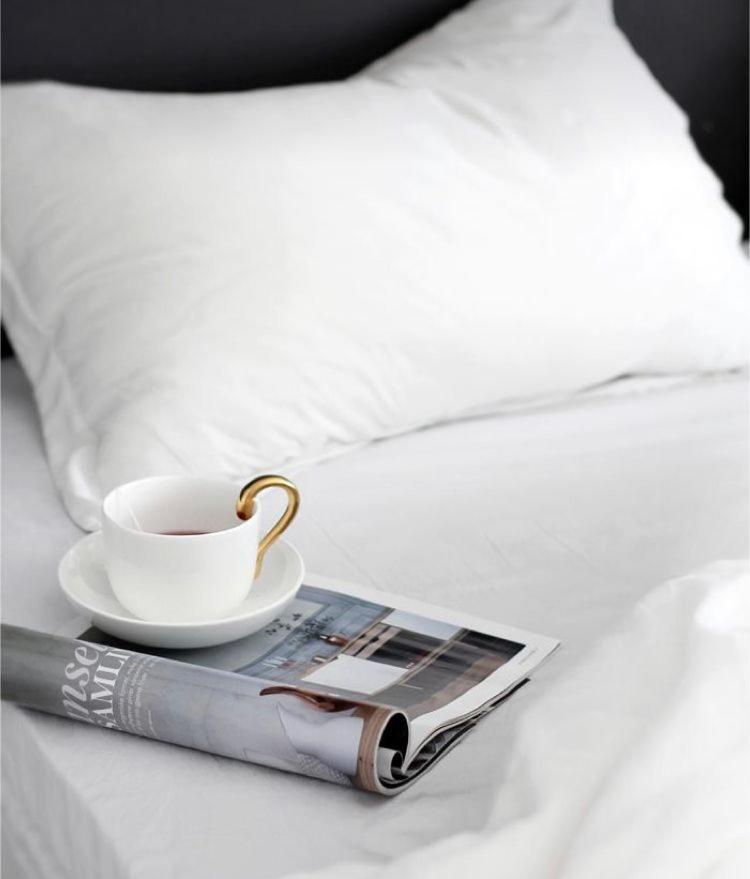 The Queen Airport Hotel-Round Trip Airport Service Arnavutkoy Zewnętrze zdjęcie